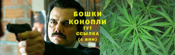 шишки Алзамай