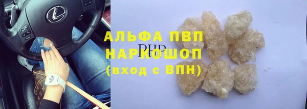 шишки Алзамай