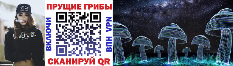 купить наркотики сайты  Кизел  Псилоцибиновые грибы Psilocybine cubensis 